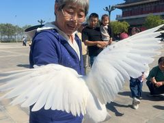 -天津妈祖文化园