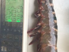 -礁美村海里捞旅游有限公司