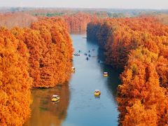 -上海海湾国家森林公园