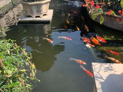-顺德了能馆(虎门店)