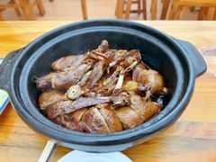 -百家春好德来姜母鸭
