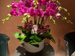 -霖公馆SPA·足道(普善路店)