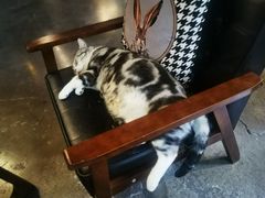 -咖法森林·咖啡  酒吧(天河店)