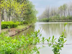 -合肥滨湖国家森林公园