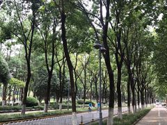 -后襄河公园