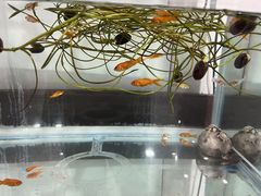-翟韵茶咖棋牌