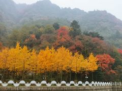 -秦岭终南山世界地质公园翠华山景区