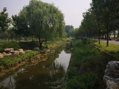 -东郊湿地公园