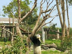 -武汉动物园