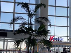 -南昌昌北国际机场