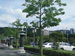 -顺峰山公园