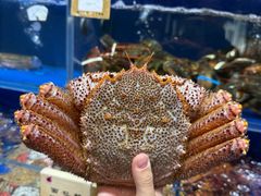 -鹊华居·地道鲁菜·海鲜·融合味(大明湖店)