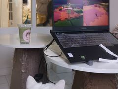 -楼上猫咖(罗湖店)