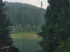 -武陵山森林公园