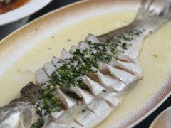 -曼格纳·曼芯馆(杨浦店)