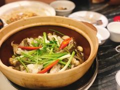 招牌焗多宝鱼-美极鲜食坊(宝安南路店)