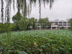 -古塔公园
