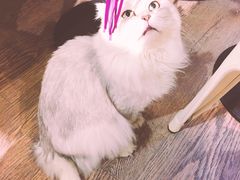 -小时光咖啡馆(开森度假森林店)