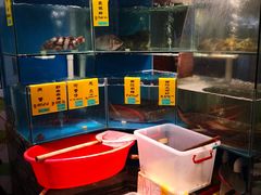 水产区-五稻厨房粤西菜(新闻店)