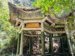 -云南屏边大围山国家公园