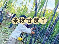 -汉长安城未央宫国家考古遗址公园