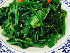 炝拌丝瓜尖-松针蔡记蒸饺(花园路店)