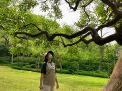 -晓港公园