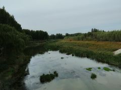 -东郊湿地公园