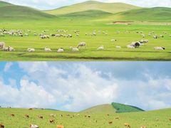 -乌兰布统草原