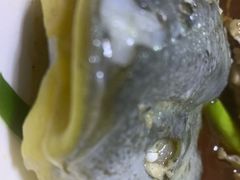 -煲来饱去冷水鱼