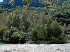 -云岫谷游猎自然风景区