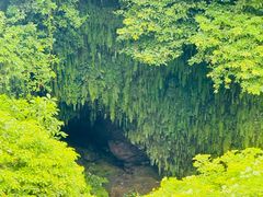 -海口火山口国家地质公园
