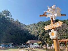 -龙岩森林水乡景区