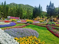 -深圳仙湖植物园