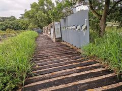 -华侨城湿地公园