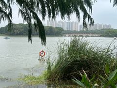 -昆山城市生态森林公园
