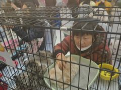 -万达广场(合肥包河店)