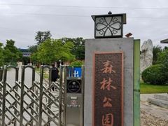 -云岗森林公园