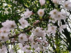 -贵阳市花溪国家城市湿地公园