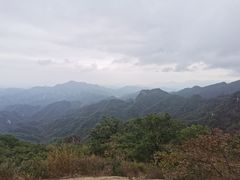 -六里坪国家森林公园