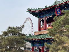 -天津大悲禅院