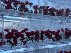 -万达广场(龙湖店)