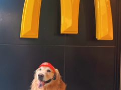 -麦当劳(朝阳北路店)