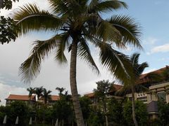 -三亚海棠湾万丽度假酒店