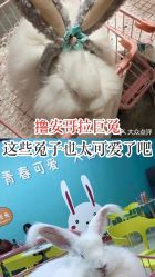-萌兔星空蹦床撸兔馆