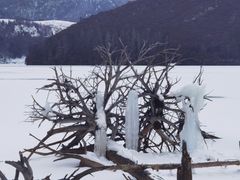 -普达措国家公园