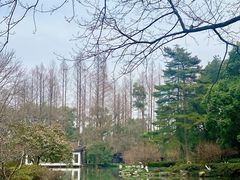 -杭州植物园