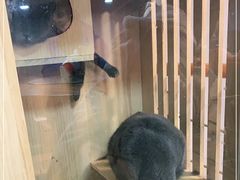 -陈老斯呼尔嗨吃烧烤(科巷店)