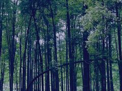 -杭州植物园