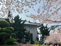 -武汉大学-樱园